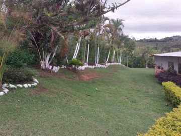 VENTA FINCA ARBOLEDAS