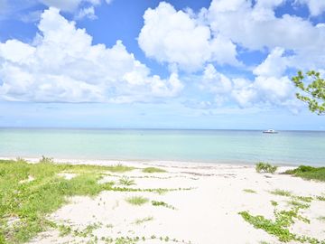 Departamento en Venta a pie de la Playa, amueblado,  Telchac, Yucatan