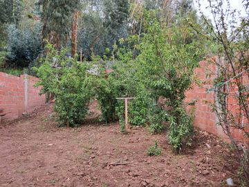 SE VENDE LINDA CASITA CON UNA AMPLIA ÁREA DE TERRENO DE 468.88m2 EN LA LOCALIDAD DE HUASAO