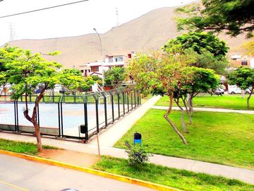 Venta De Casa De Dos Pisos Y Azotea En Los Olivos, Frente A Parque Del Niño