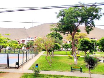 Venta De Casa De Dos Pisos Y Azotea En Los Olivos, Frente A Parque Del Niño