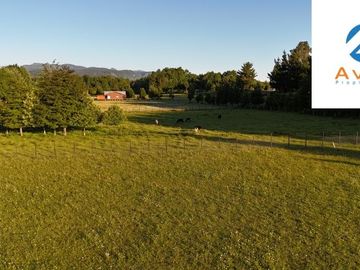 Villarrica sector Villa Alegre a 19 Km de Villarrica parcela de 5.900m2 COD.VTAP199