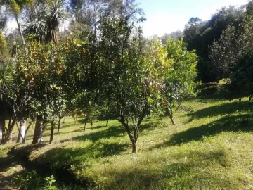 TEMASCALTEPEC EN VENTA TERRENO