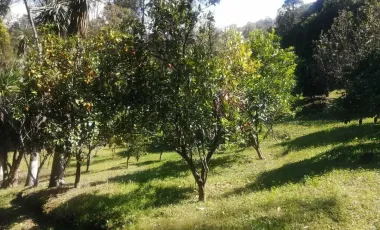 TEMASCALTEPEC EN VENTA TERRENO