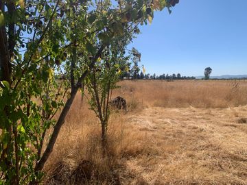 Se vende parcela 5.123 m2 con casa amoblada en Pelarco