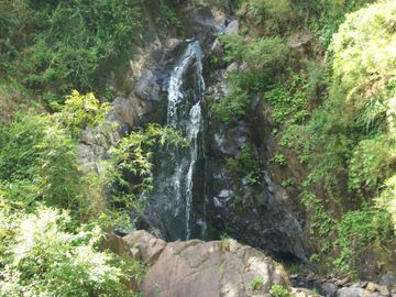 Terreno sector San Jose del Mar.