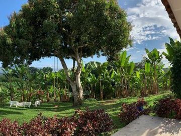 Venta finca autosostenible  Agro-Turística en Pueblo Tapao, Montenegro Quindío