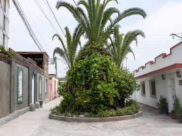 Tu refugio frente al infinito azul . san bartolo-Lima,Peru
