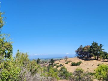 Parcelas rodeadas de viñas, con vista a la cordillera y al valle - Proyecto Viñedo Carrizal