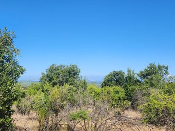 Parcelas rodeadas de viñas, con vista a la cordillera y al valle - Proyecto Viñedo Carrizal