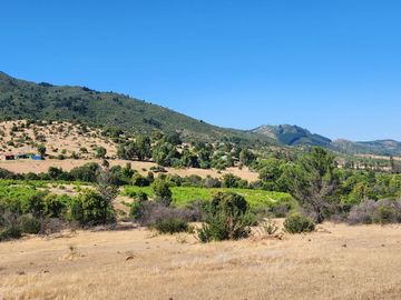 Parcelas rodeadas de viñas, con vista a la cordillera y al valle - Proyecto Viñedo Carrizal
