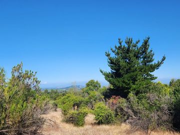 Parcelas rodeadas de viñas, con vista a la cordillera y al valle - Proyecto Viñedo Carrizal