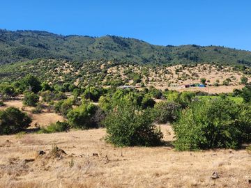 Parcelas rodeadas de viñas, con vista a la cordillera y al valle - Proyecto Viñedo Carrizal
