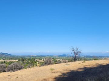 Parcelas rodeadas de viñas, con vista a la cordillera y al valle - Proyecto Viñedo Carrizal