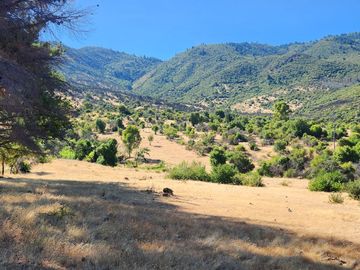 Parcelas rodeadas de viñas, con vista a la cordillera y al valle - Proyecto Viñedo Carrizal