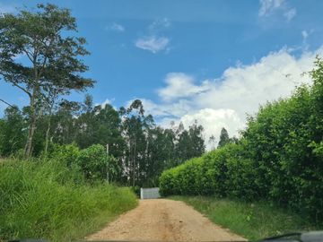 ¿Buscas 'desconectar' sin desaparecer del mapa? Este terreno cerca de Tarapoto te ofrece naturaleza, privacidad y cimientos listos para construir. 😉