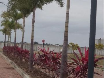 Vendo Terreno en Isla Mocoli - Barlovento
