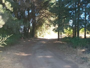 VENDO AMPLIA PARCELA CON CASA EN SAN MIGUEL SECTOR LOS MAQUIS EN LA COMUNA DE SAN IGNACIO