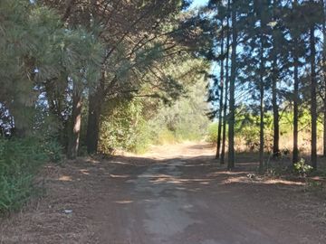 VENDO AMPLIA PARCELA CON CASA EN SAN MIGUEL SECTOR LOS MAQUIS EN LA COMUNA DE SAN IGNACIO