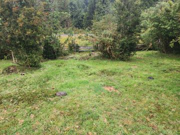 VENDO 99,88 HECT. RÍO RISOPATRON, CARRETERA AUSTRAL NORTE, COMUNA DE CISNES, REGION DE  AYSEN