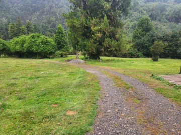 VENDO 99,88 HECT. RÍO RISOPATRON, CARRETERA AUSTRAL NORTE, COMUNA DE CISNES, REGION DE  AYSEN