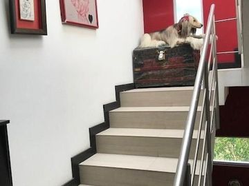 Venta Casa independiente en el Sector de San Pedro de Nayon
