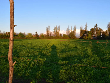 Vendo Parcelas En Sector Miraflores en Linares V 1628-P-35-O-LR.12.24