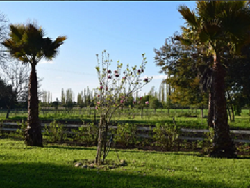 Vendo Parcelas En Sector Miraflores en Linares V 1628-P-35-O-LR.12.24