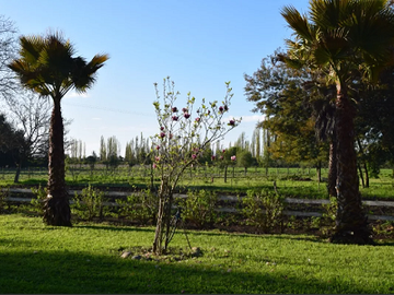Vendo Parcelas En Sector Miraflores en Linares V 1628-P-35-O-LR.12.24