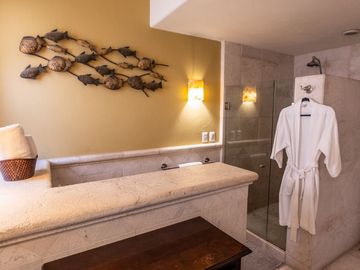 Casa de Lujo en venta con Alberca, amplio jardin y terrazas, ideal para hotel boutique en Centro Historico