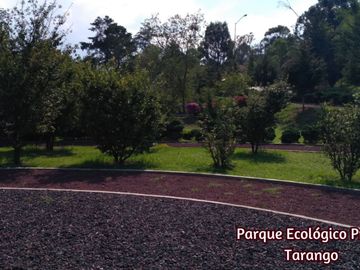 Departamento con alberca, gimnasio, en venta, Alvaro Obregón, Ciudad de México