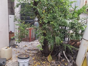 Venta de Casa en Mitras Norte