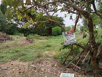 ขายที่ดิน สะเตง เมือง ยะลา เนื้อที่ 100.20 ตร.ว ทำเลดี เหมาะพักอาศัย คาเฟ่ ร้านอาหาร ใกล้แม่น้ำปัตตานี