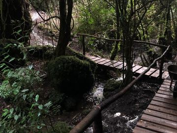 PROYECTO DE  PARCELAS CERCANO A PUCON