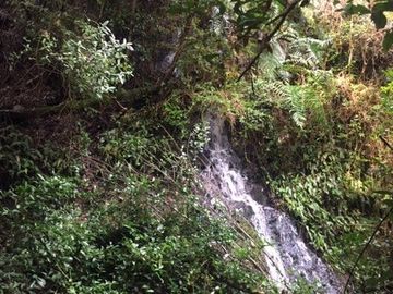 PROYECTO DE  PARCELAS CERCANO A PUCON