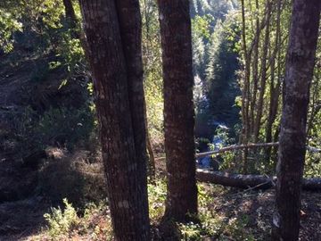 PROYECTO DE  PARCELAS CERCANO A PUCON