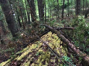 PROYECTO DE  PARCELAS CERCANO A PUCON