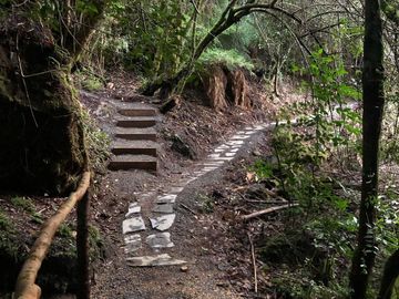PROYECTO DE  PARCELAS CERCANO A PUCON
