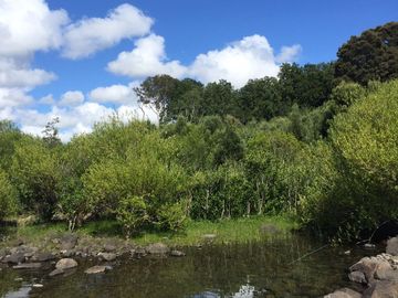 PARCELA ORILLA DE LAGO CERQUITA DE VILLARRICA