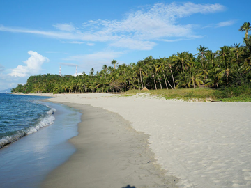 🏨 For Sale: Hotel in Puerto Galera 🌴