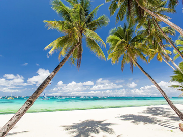 🏨 For Sale: Hotel in Puerto Galera 🌴