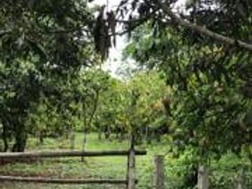 HACIENDA DE VENTA EN PROVINCIA DE MANABI