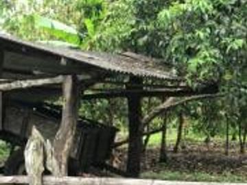 HACIENDA DE VENTA EN PROVINCIA DE MANABI