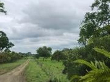 HACIENDA DE VENTA EN PROVINCIA DE MANABI