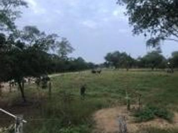 HACIENDA DE VENTA EN PROVINCIA DE MANABI