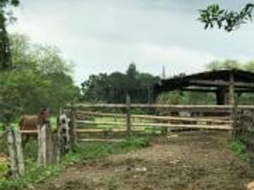 HACIENDA DE VENTA EN PROVINCIA DE MANABI