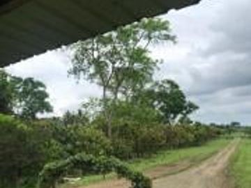 HACIENDA DE VENTA EN PROVINCIA DE MANABI