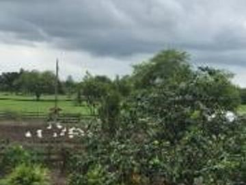 HACIENDA DE VENTA EN PROVINCIA DE MANABI