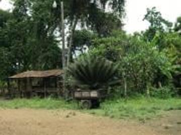 HACIENDA DE VENTA EN PROVINCIA DE MANABI