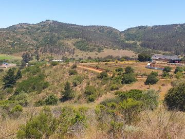 Bella Parcela en sector Lagunillas de Casablanca, Quinta Región $64.990.000